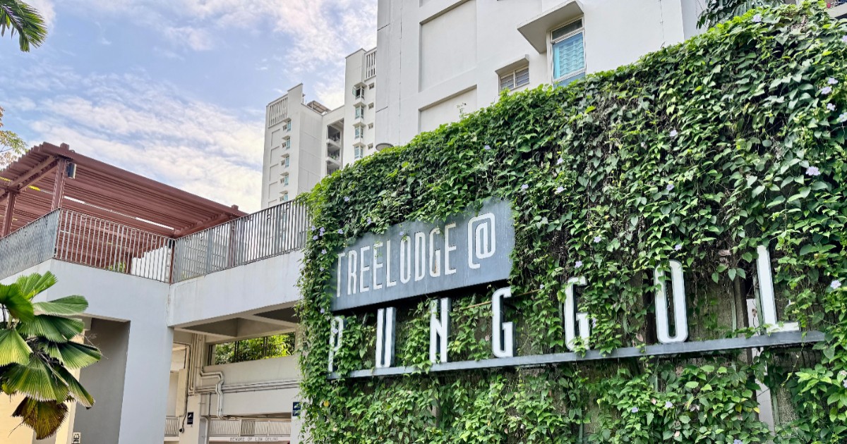 HDB loft flats in Punggol