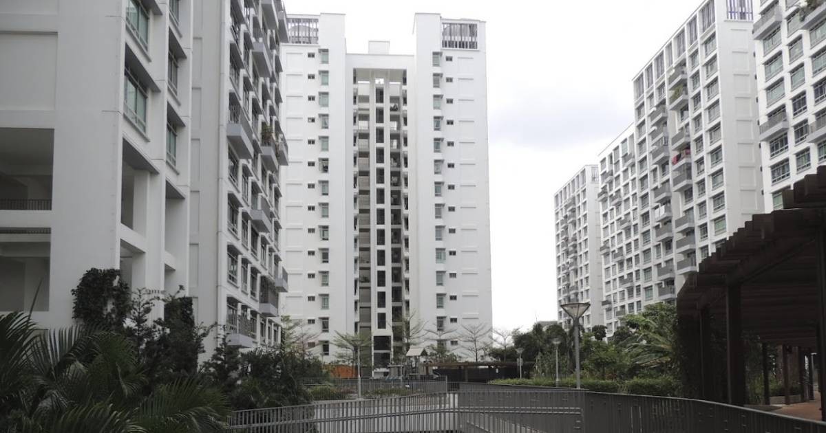 HDB loft flats at Treelodge@Punggol